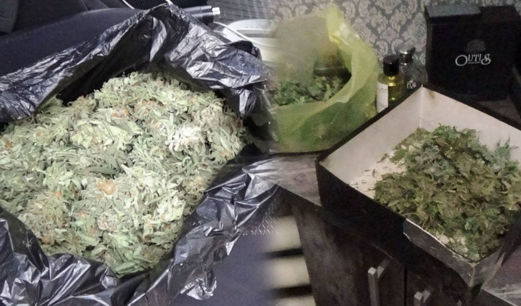 Toshkentda fuqaroning mashinasi va uyidan salkam 292 gr marixuana topildi