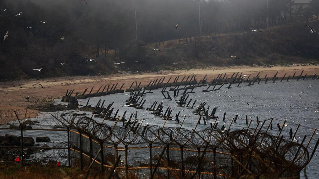 Шимолий Корея ва Жанубий Корея чегарасида девор қурилмоқда