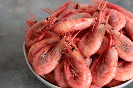 Yaponiya tarjibasi asosida O‘zbekistonda krevetka yetishtiriladi