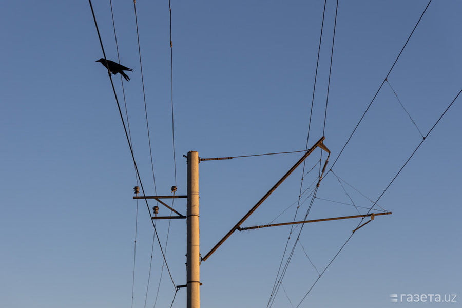 27 ming voltlik tok urgan kishi tirik qoldi