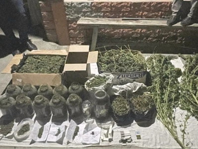 Toshkentda uyida salkam 40 kg giyohvandlik vositasi saqlagan shaxs ushlandi