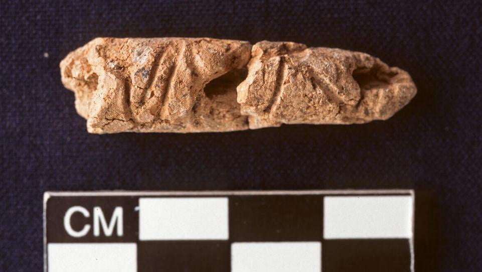 Дунёдаги энг қадимги алифбо топилди