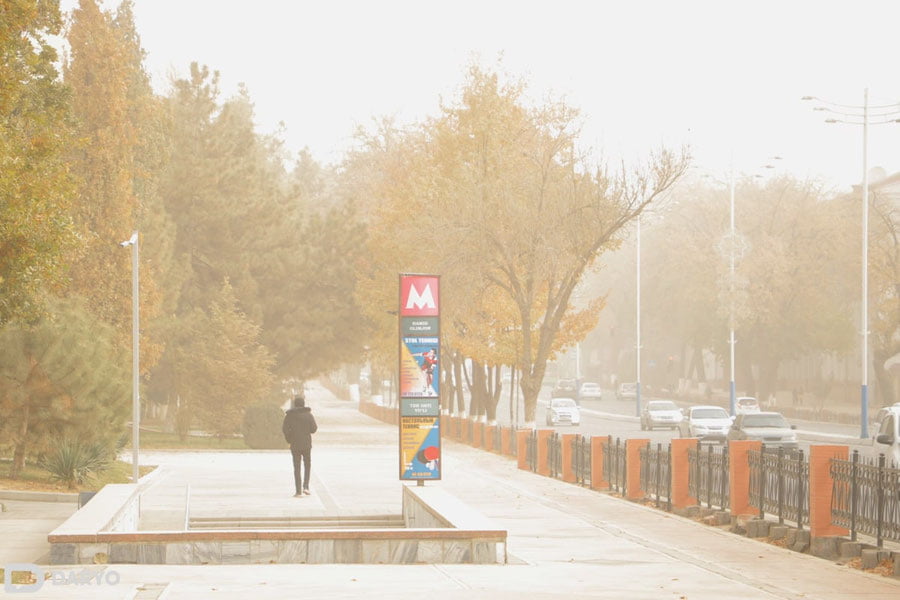 Ифлосланган шаҳар ҳавоси саратонни келтириб чиқаради — тадқиқот