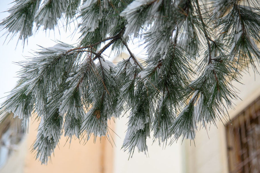 30 декабрь учун об-ҳаво прогнози эълон қилинди