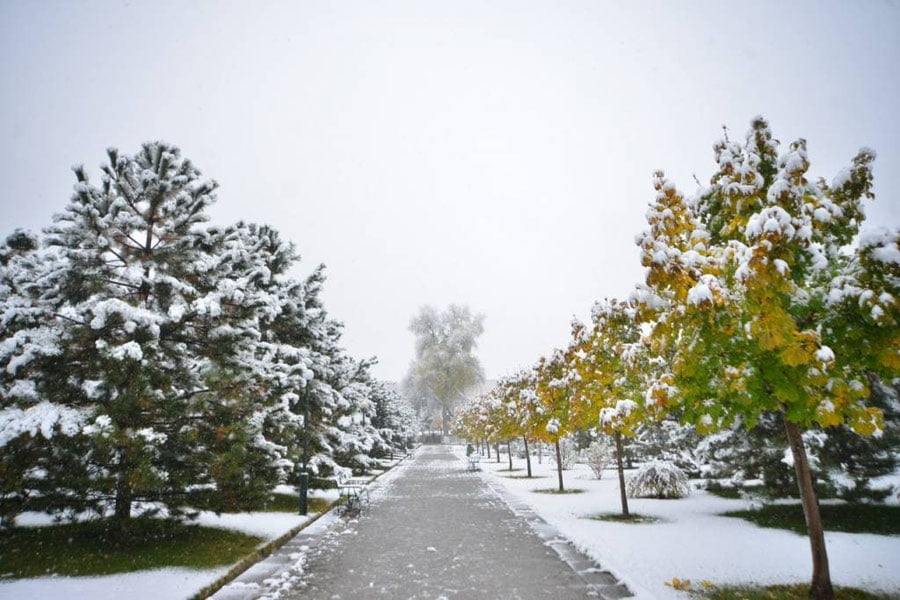 6 январь учун об-ҳаво прогнози эълон қилинди