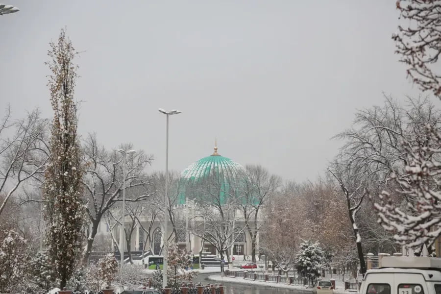 9 январь учун об-ҳаво прогнози эълон қилинди