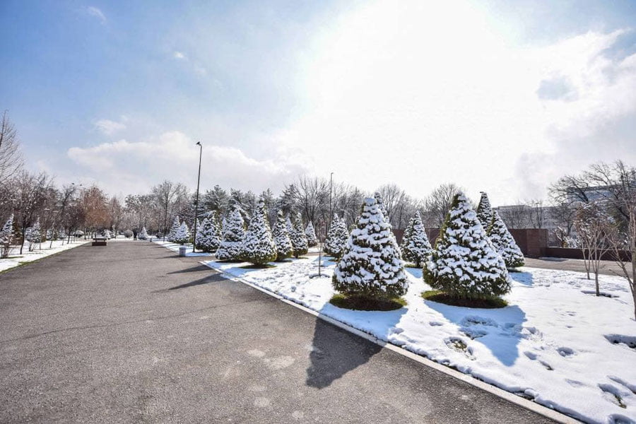 12-yanvar uchun ob-havo prognozi eʼlon qilindi