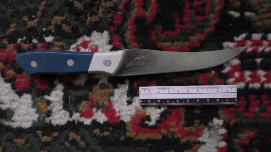 Toshkentda ona va bola pichoqlab ketildi