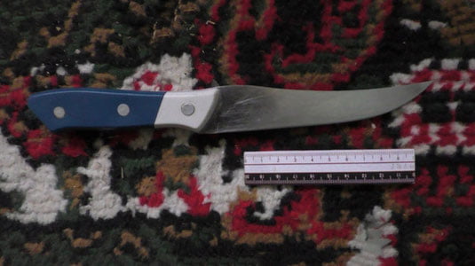 Toshkentda ona va bola pichoqlab ketildi