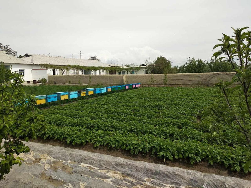 Endi tomorqasiga qaramagan xonadon egalari uch karra yuqori soliq to‘laydi