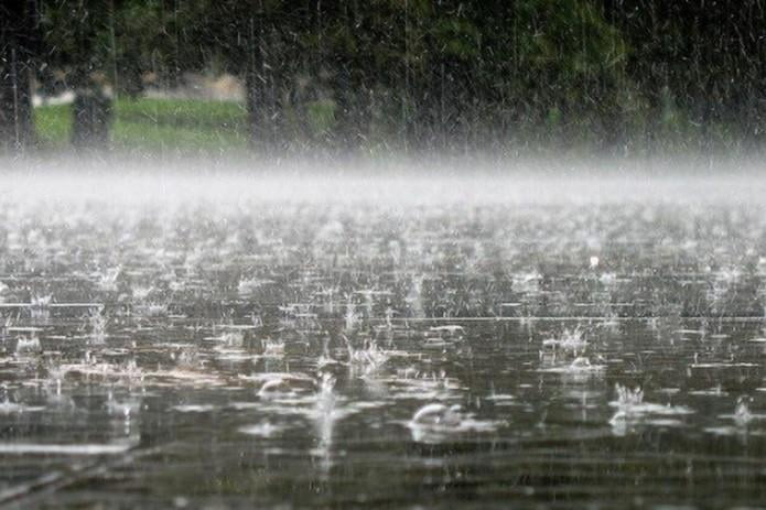 26 mart uchun ob-havo prognozi e'lon qilindi