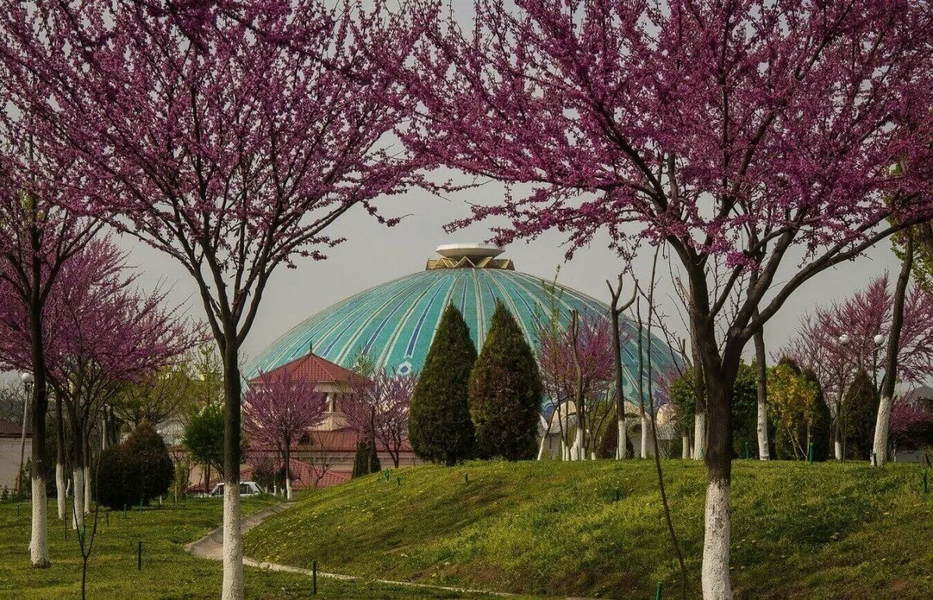 2 aprel uchun ob-havo prognozi eʼlon qilindi