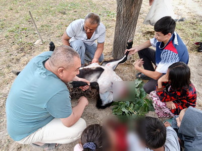 Ҳайит тонги қишлоқда бошқача отади