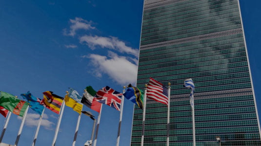 BMTda Falastin bo‘yicha xalqaro konferensiya o‘tkaziladi