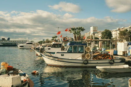 Туркияда сув инқирози: Измирда ичимлик суви тугаб бормоқда