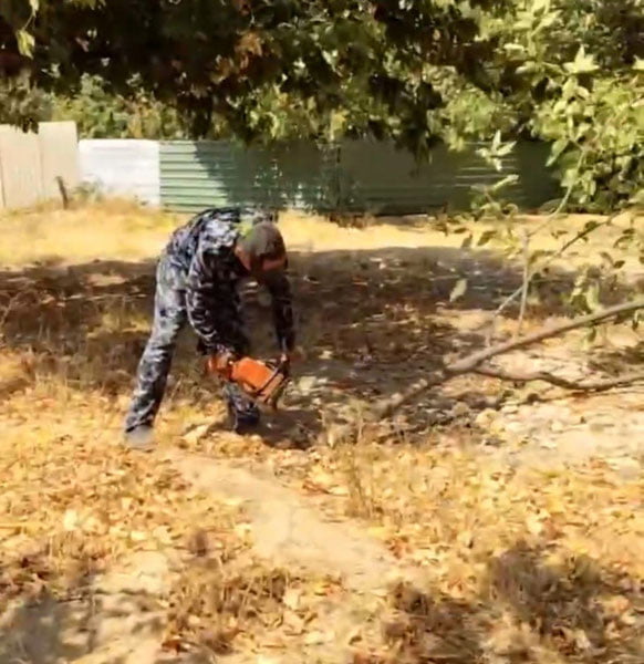 “Кўкаламзорлаштириш мақсадида…” Қибрайда кесиб ташланган дарахтларга ҳокимлик бош-қош бўлган