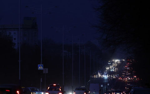 Тошкент кўчалари бўйлаб одамларга ташланган буқа отиб ўлдирилди