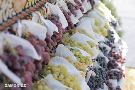 Паркентда бўлиб ўтган “Узум сайли” халқаро фестивали — суратларда