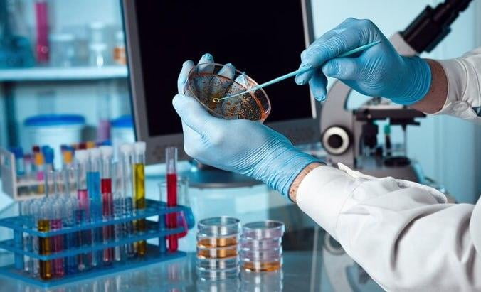 Dunyoda vabodan o‘lim ko‘rsatkichlari oshmoqda