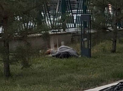 Toshkentda erkak ayoli bilan janjal sabab o‘zini 10-qavatdan tashlab halok bo‘ldi