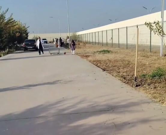 Сурхондарёда бош шифокор ходимларини мажбурий меҳнатга жалб қилди