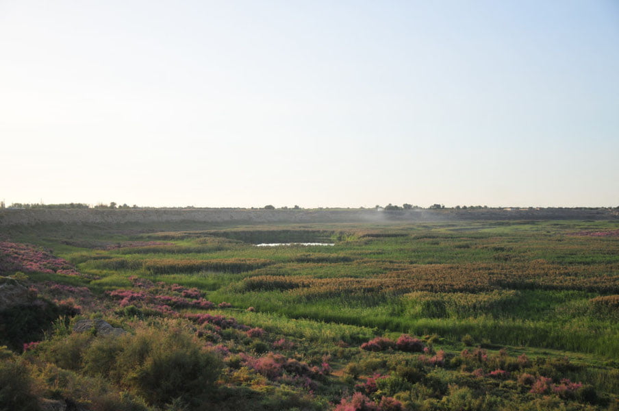 Сирдарёда “Султонҳовуз” сув омбори қурилади