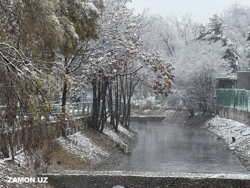 Бугун Ўзбекистоннинг айрим ҳудудларида қор ёғиши кутилмоқда