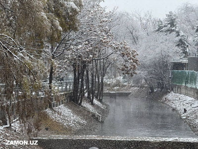 Bugun O‘zbekiston bo‘ylab sovuq va tumanli ob-havo kutilmoqda