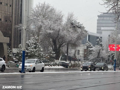 Янги йил муносабати билан Тошкентда айрим кўчаларда ҳаракат вақтинча чекланади