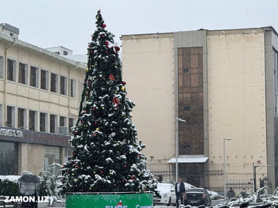 Янги йил муносабати билан кетма-кет 5 кун дам олиш мумкин бўлади