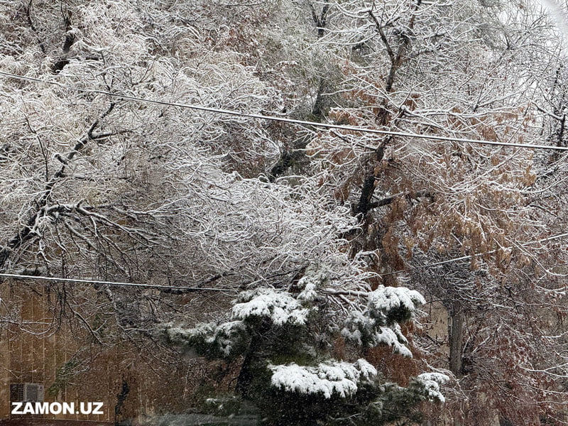 Bugun O‘zbekistonda tumanli ob-havo kutilmoqda