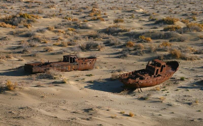 2025 йилда Оролбўйи экологиясини тиклашга 32 миллион доллардан ортиқ грант жалб қилинди