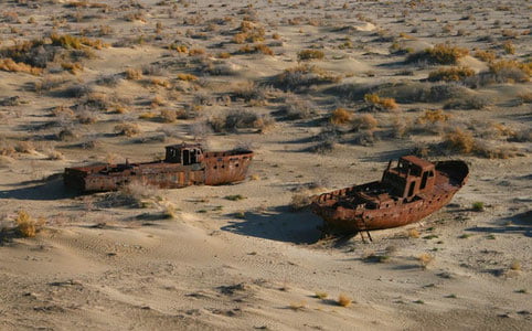 2025 йилда Оролбўйи экологиясини тиклашга 32 миллион доллардан ортиқ грант жалб қилинди