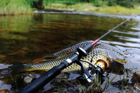 Navoiyda noqonuniy baliq ovlaganlar qariyb 700 mln so‘m jarima to‘laydi