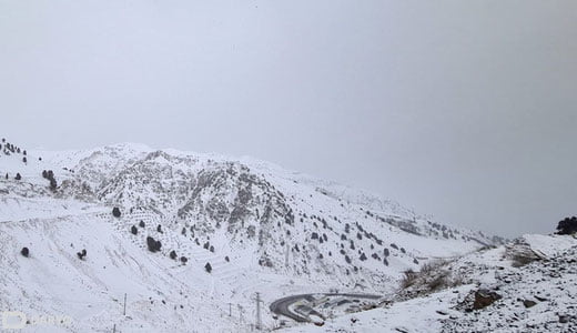 Ўзбекистоннинг тоғли ҳудудларида қор кўчиши хавфи эълон қилинди