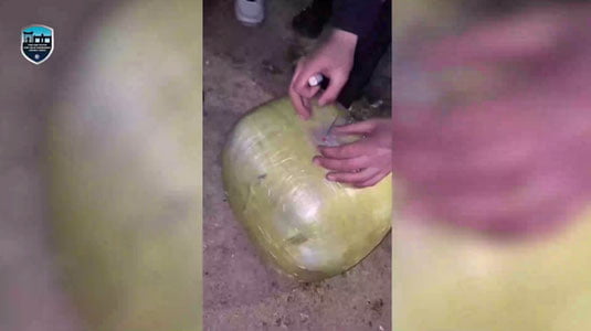 Қўқонда Янги йил кечасида мушакбозлик уюштирган шахслар 15 суткага қамалди