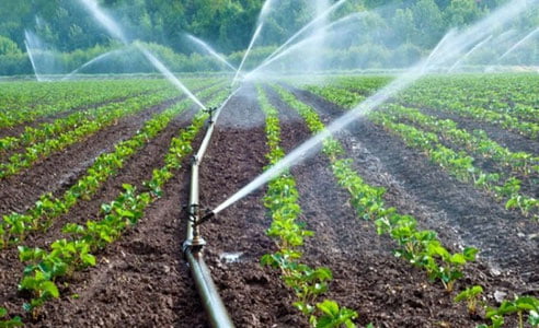 O‘zbekistonda suv resurslaridan foydalanish samaradorligini oshirish bo‘yicha yangi tartib joriy etiladi