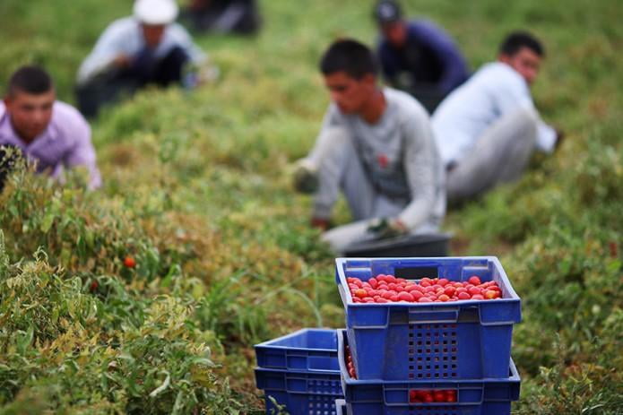 O‘zbekistonda norasmiy bandlik qisqartiriladi
