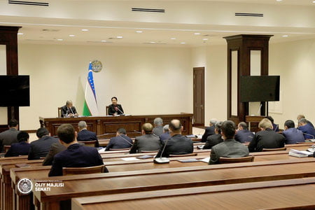 Oliy Majlis Senati favqulodda holat to‘g‘risidagi qonun va boshqa hujjatlarni ko‘rib chiqadi