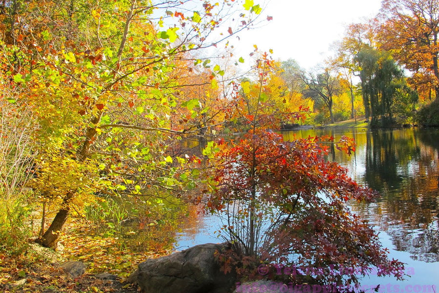 Ўзбекистонда 22 ноябрь куни ёғингарчилик бўлмайди