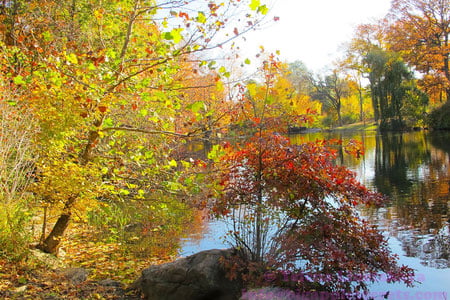 Ўзбекистонда 22 ноябрь куни ёғингарчилик бўлмайди