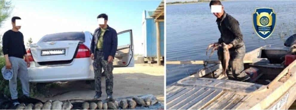 Aydar-Arnasoy ko‘llar tizimida ancha miqdordagi baliqlarning noqonuniy ovlanishining oldi olindi