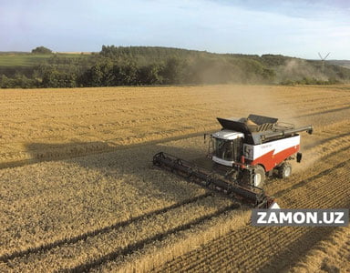 Германия Россия буғдойисиз дунё очарчиликка дуч келишидан огоҳлантирди