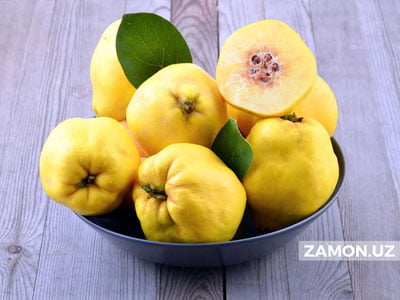 Behining foydali xususiyatlari