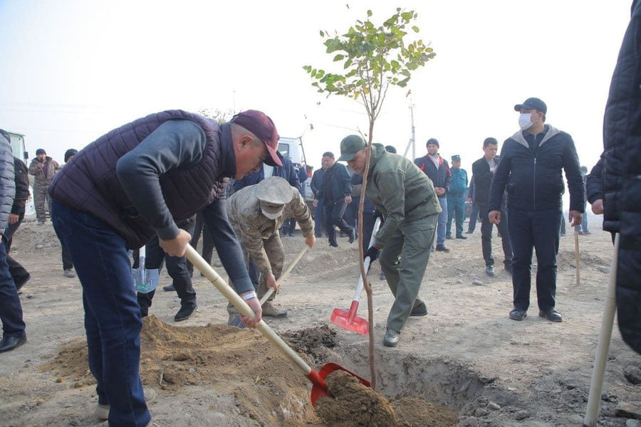 Фарғонадаги "Янги Ўзбекистон" боғи ҳозирги экотизимга мослаштирилади
