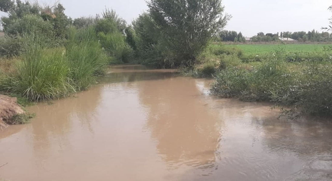 Хоразмда 82 ёшли онахон каналга тушиб кетди