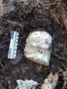 Qabr ichida qilingan jinoyat