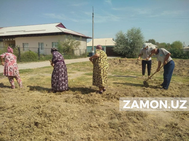 Сирдарёда ўқитувчиларни мажбуран ишлатган мактаб директори жаримага тортилди