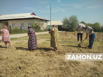 Сирдарёда ўқитувчиларни мажбуран ишлатган мактаб директори жаримага тортилди