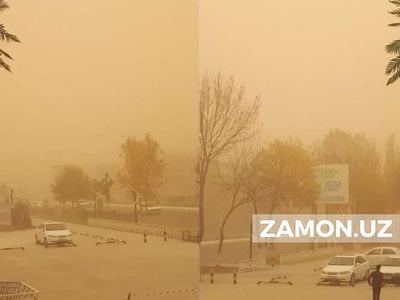 CCВ: Тошкентда 678 киши нафас қисиши туфайли "Тез ёрдам"га мурожаат қилди